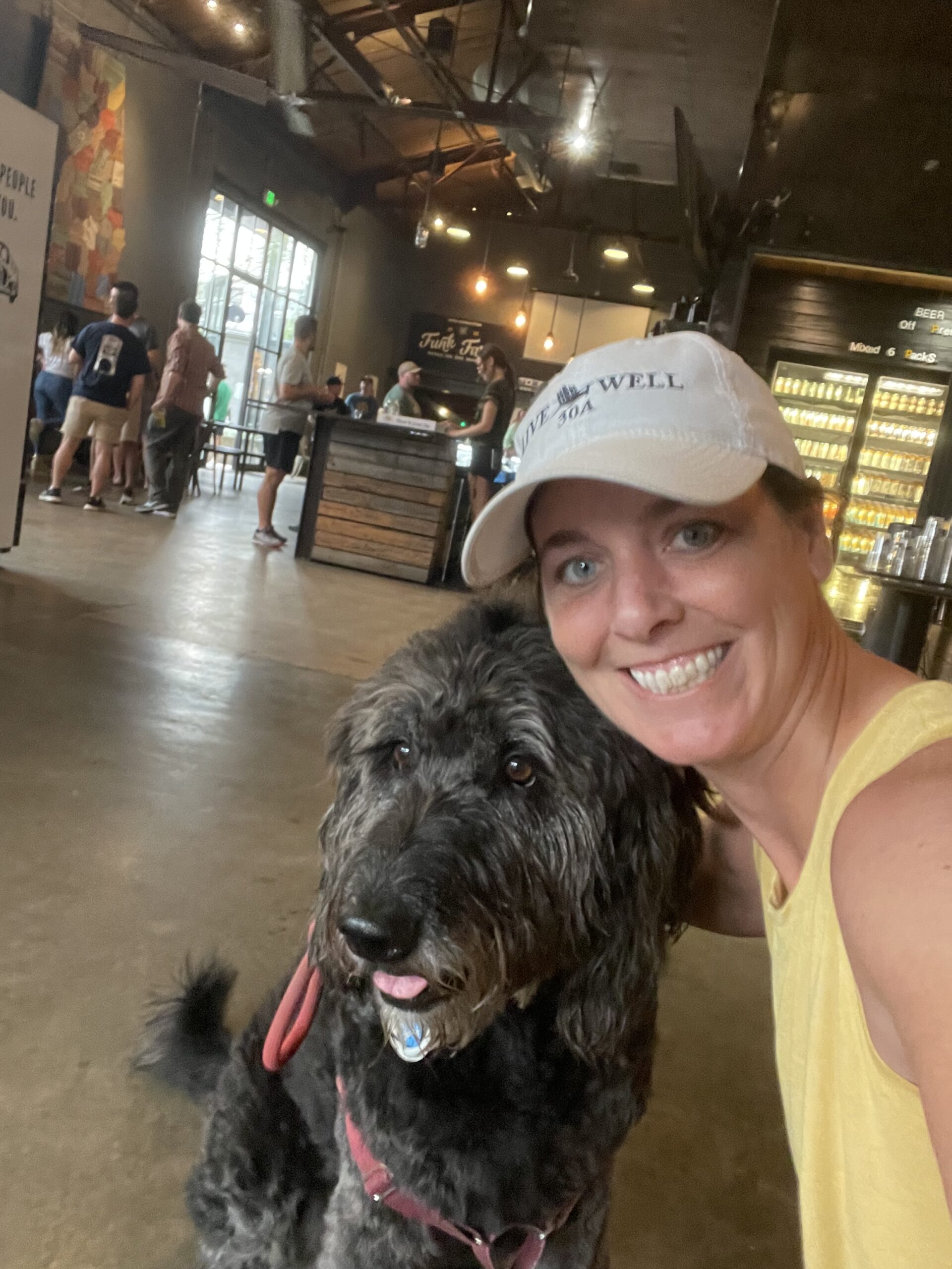 A 3,400 Mile Journey with Barley: Birmingham