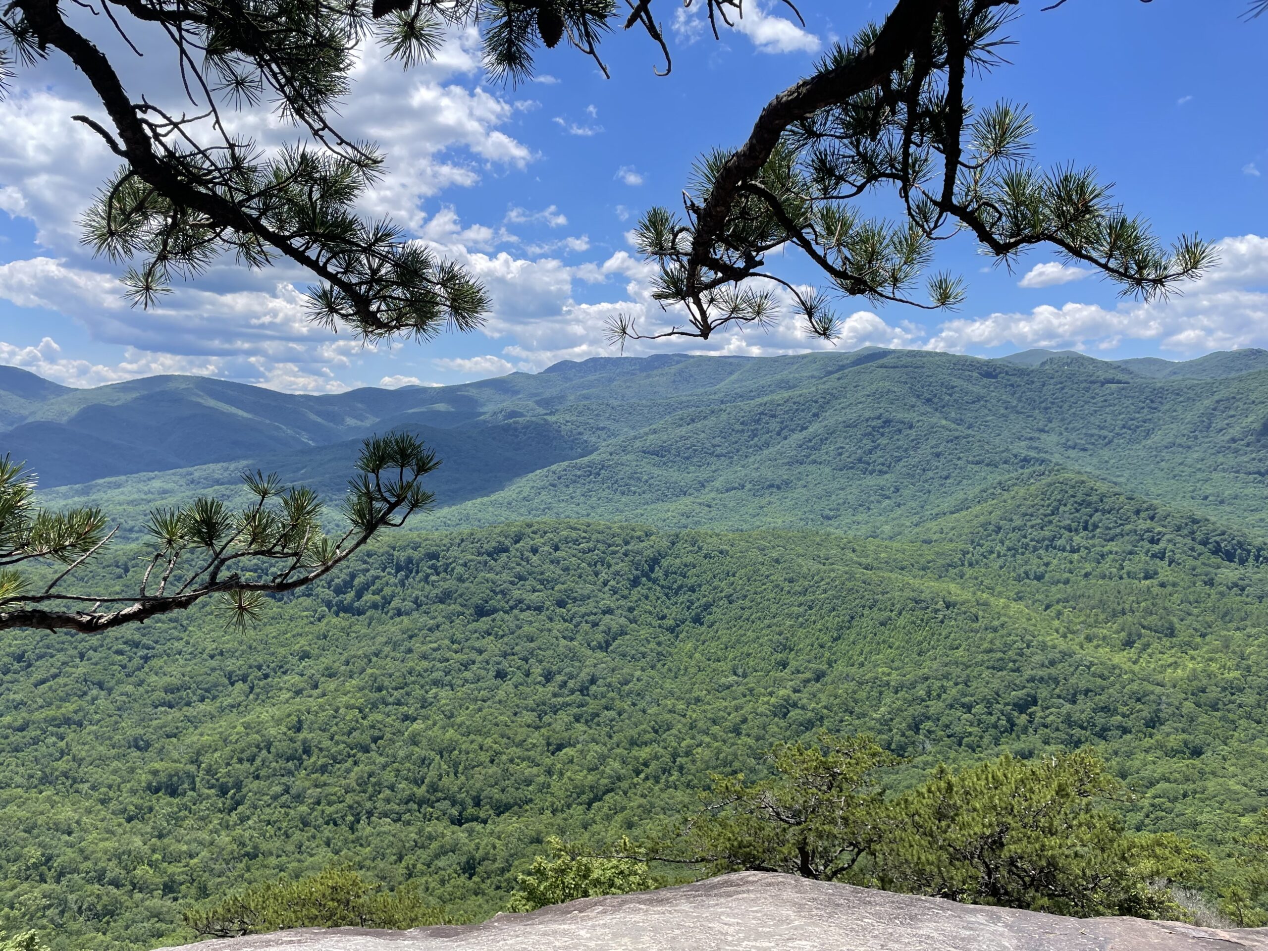Asheville, North Carolina: A 3,400 mile journey with Barley